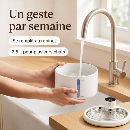 Remplissage de la cuve de la fontaine à eau pour chat directement au robinet
