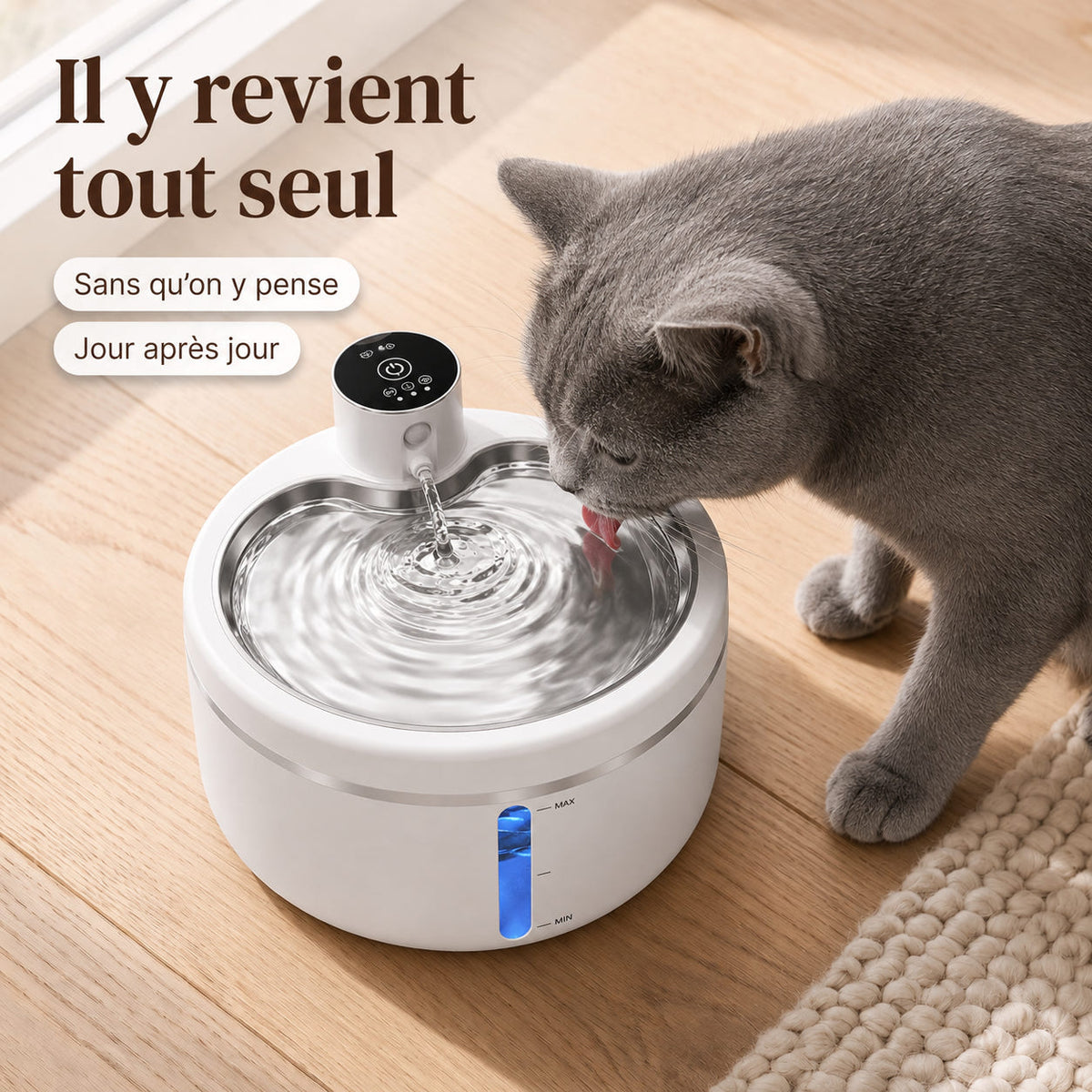 Chat gris buvant à une fontaine à eau pour chat, vue rapprochée du plateau en inox