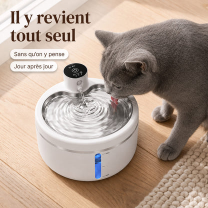 Chat gris buvant à une fontaine à eau pour chat, vue rapprochée du plateau en inox