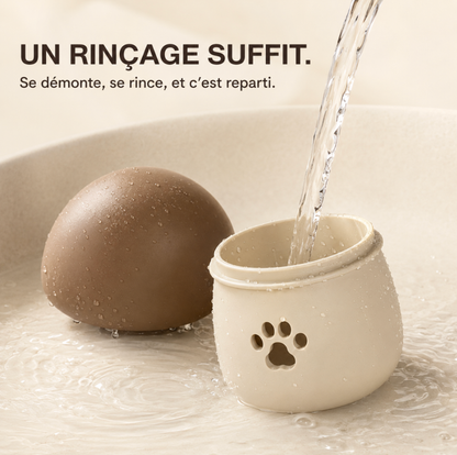 Le Champignon Malin