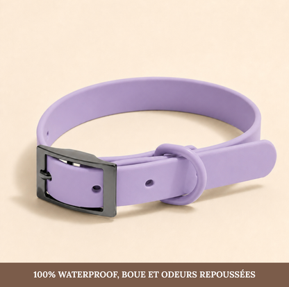 Le Collier Signature