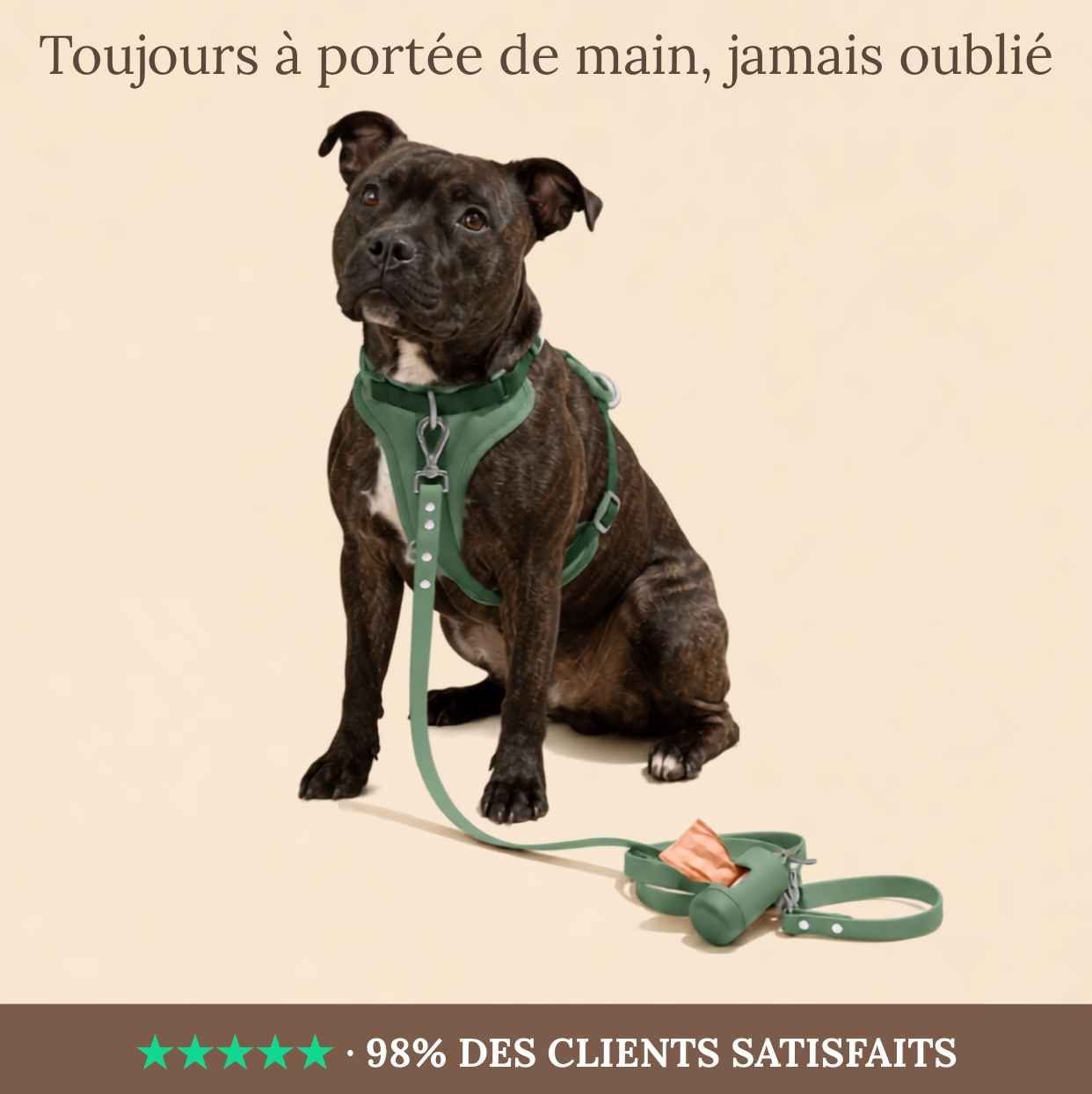 L'Étui de Balade