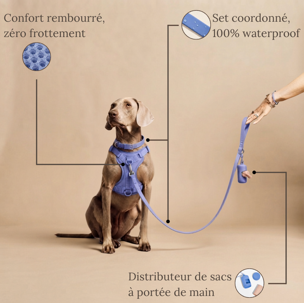 Le Set Promenade