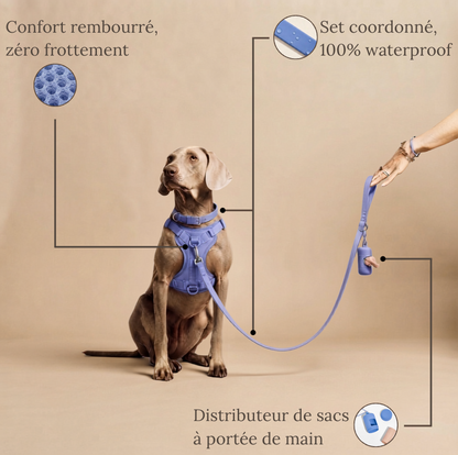Le Set Promenade