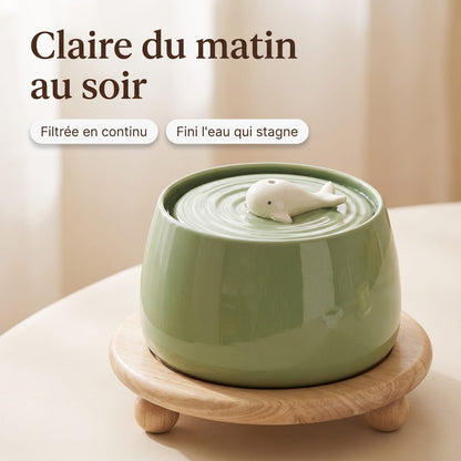 Claire du matin au soir : eau filtrée de la fontaine Le Socle