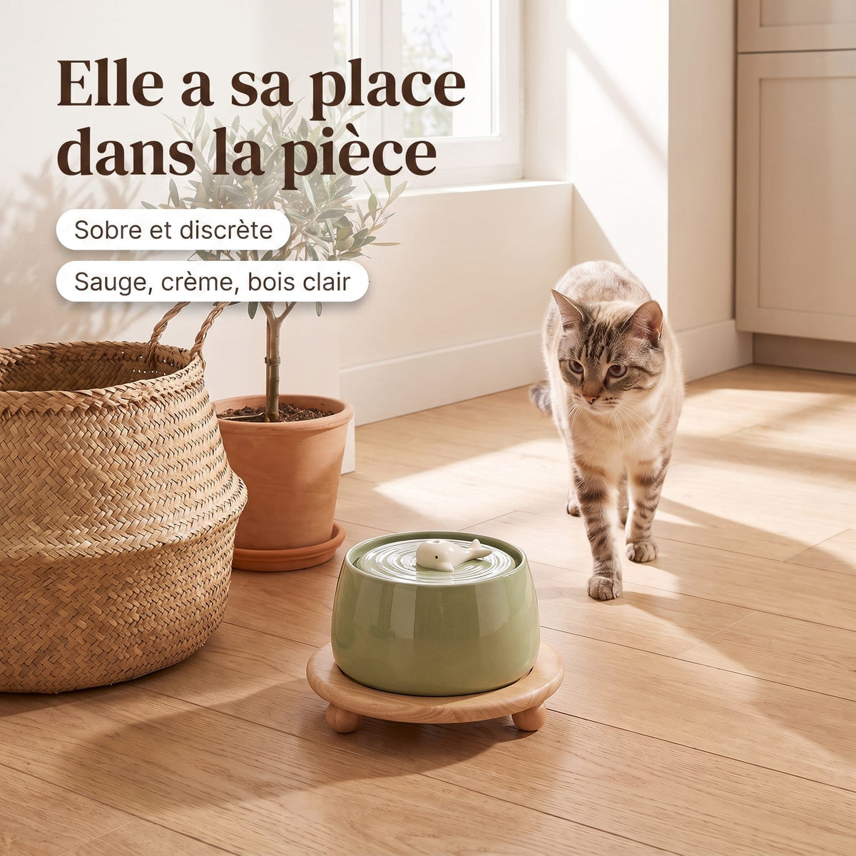 Elle a sa place dans la pièce : fontaine Le Socle dans une cuisine claire