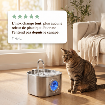 Avis client sur la fontaine à eau chat en inox à bec robinet