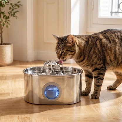 Chat tigré buvant à la fontaine inox ovale à cascade fleur