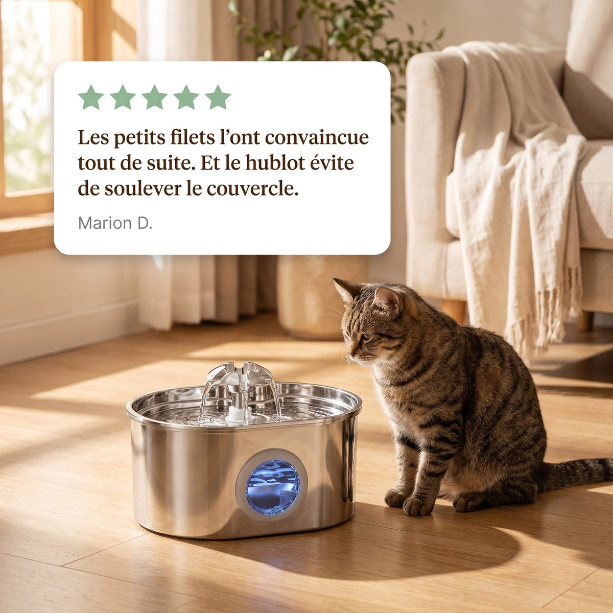 Avis client sur la fontaine à eau chat en inox ovale