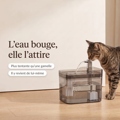 L'eau bouge, elle l'attire : chat buvant à la fontaine La Claire