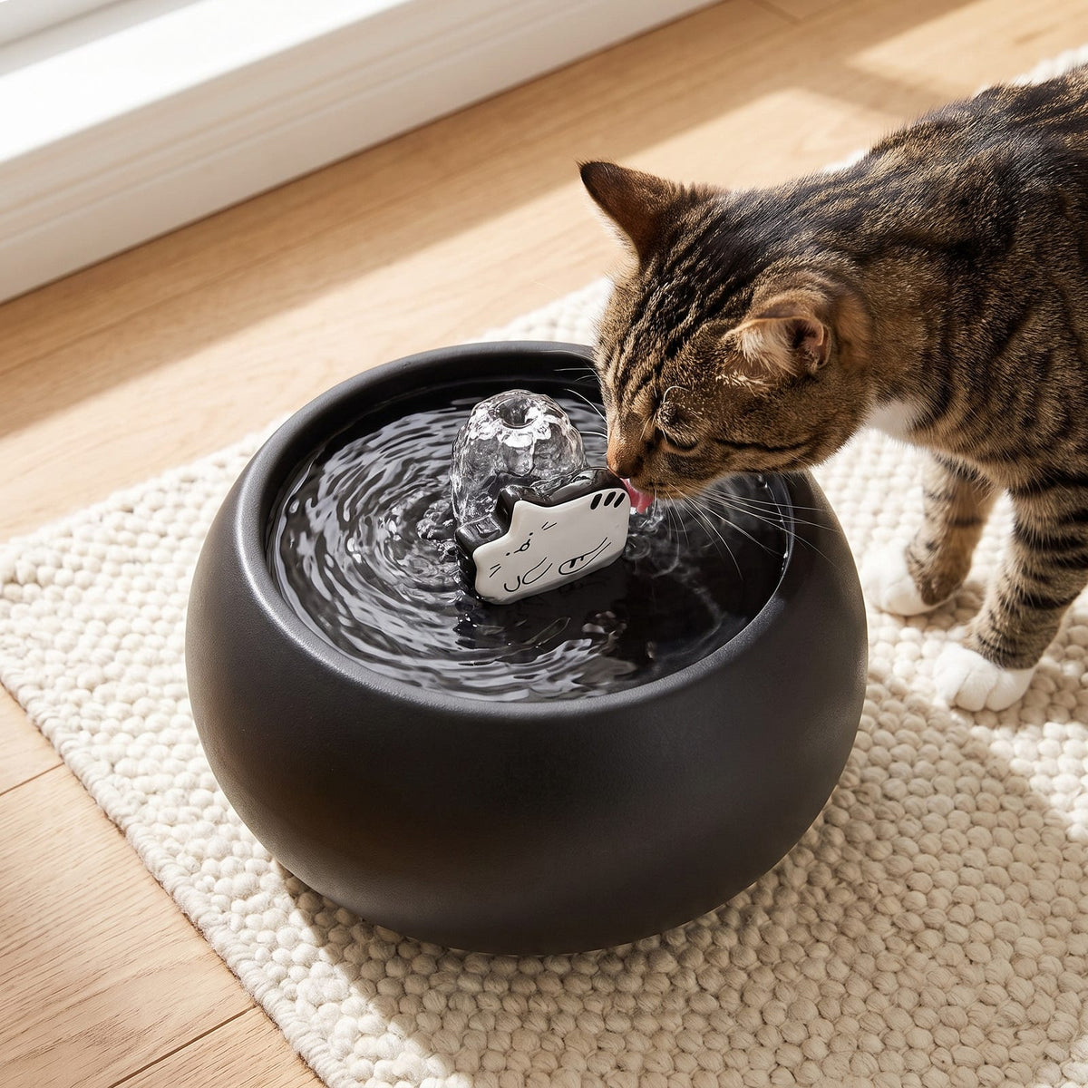 Chat buvant à la fontaine céramique noire, vue en plongée