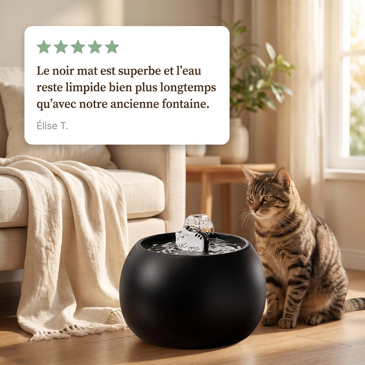 Avis client sur la fontaine céramique noire