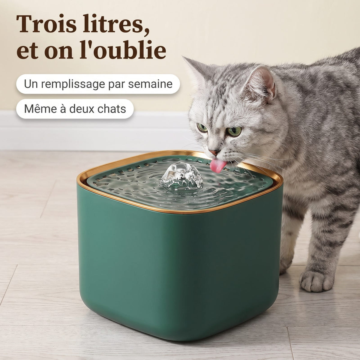 Chat tigré buvant à la fontaine à eau verte 3 L sur un parquet clair