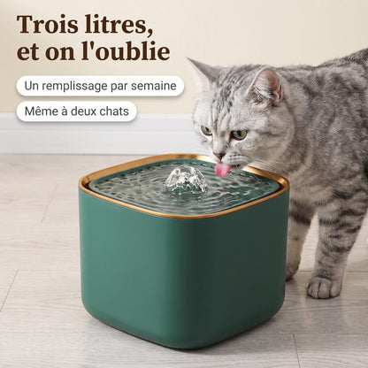 Chat tigré buvant à la fontaine à eau verte 3 L sur un parquet clair