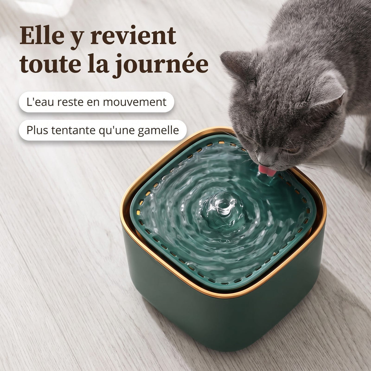 Vue en plongée d'un chat buvant à la fontaine à eau verte pour chat