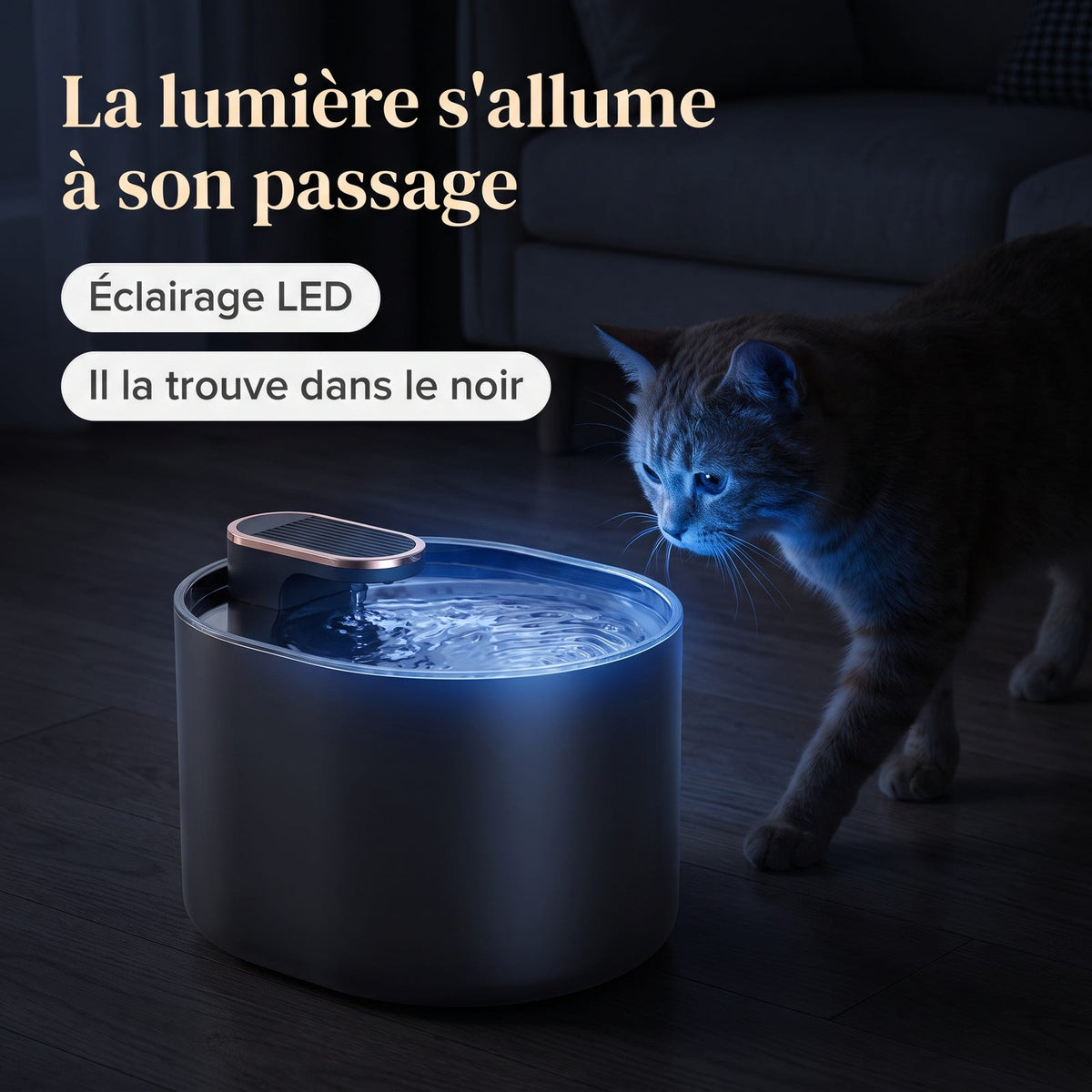Fontaine à eau pour chat avec éclairage LED allumé dans une pièce sombre