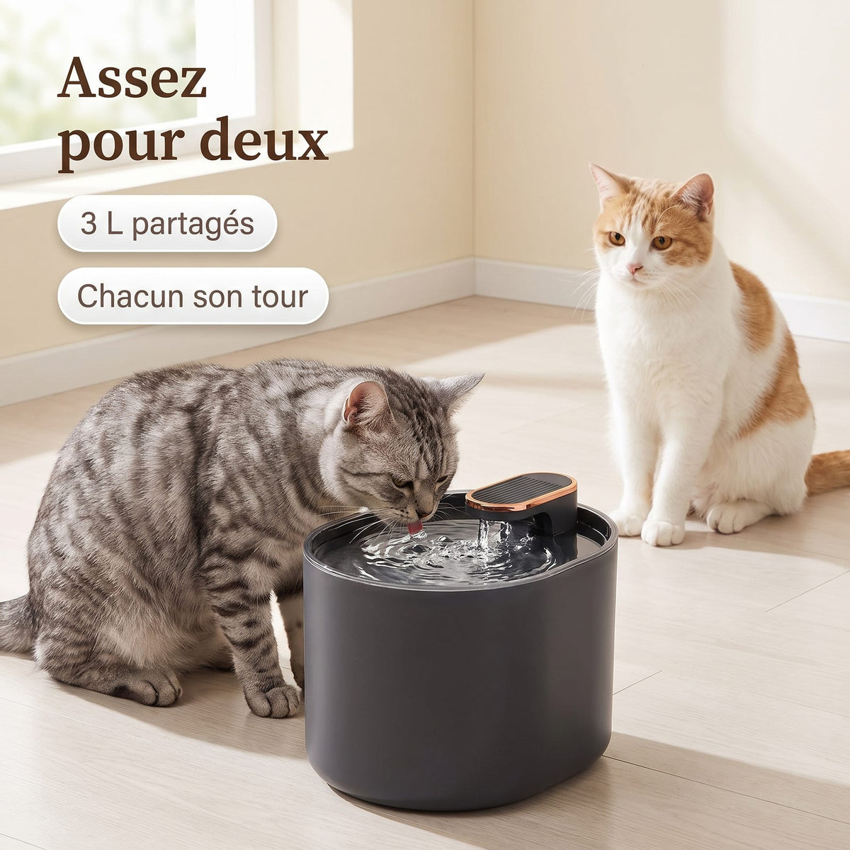 Deux chats partageant la fontaine à eau à capteur de mouvement