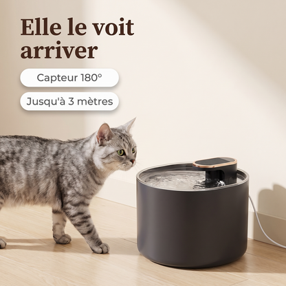Chat tigré s'approchant de la fontaine à eau à capteur de mouvement