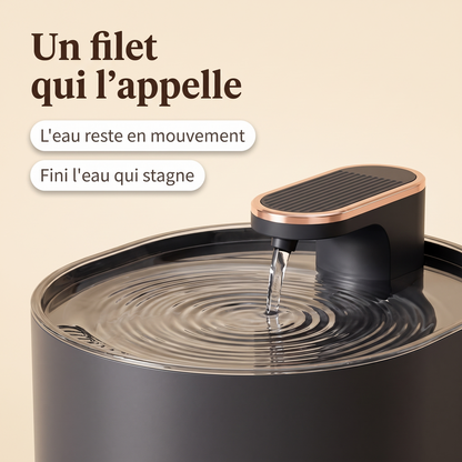 Gros plan sur l'écoulement d'eau de la fontaine à capteur pour chat