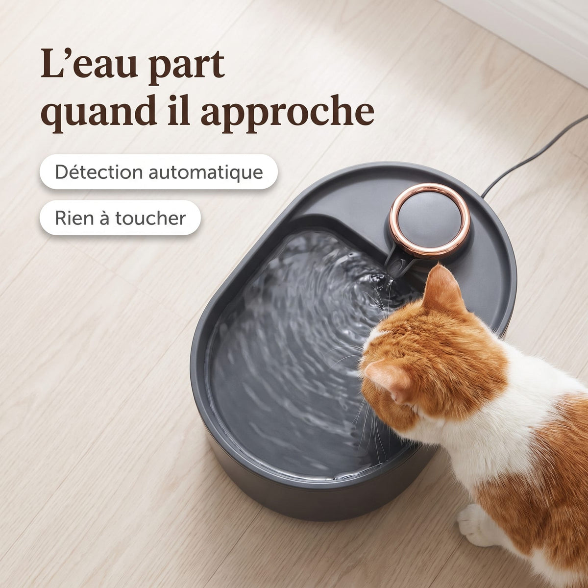 Vue en plongée d'un chat buvant à la fontaine dès son approche