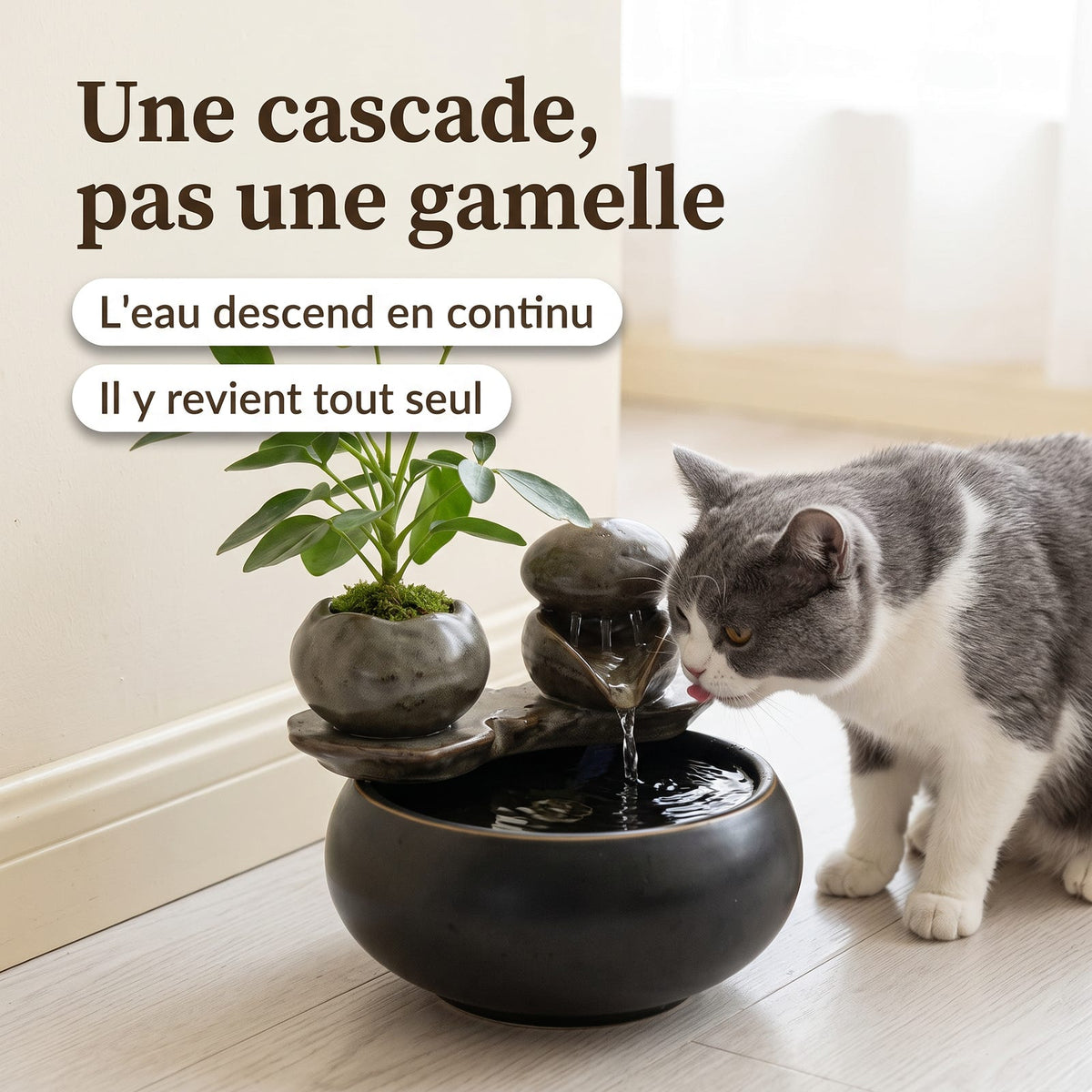 Chat gris et blanc buvant à la cascade d'une fontaine en céramique