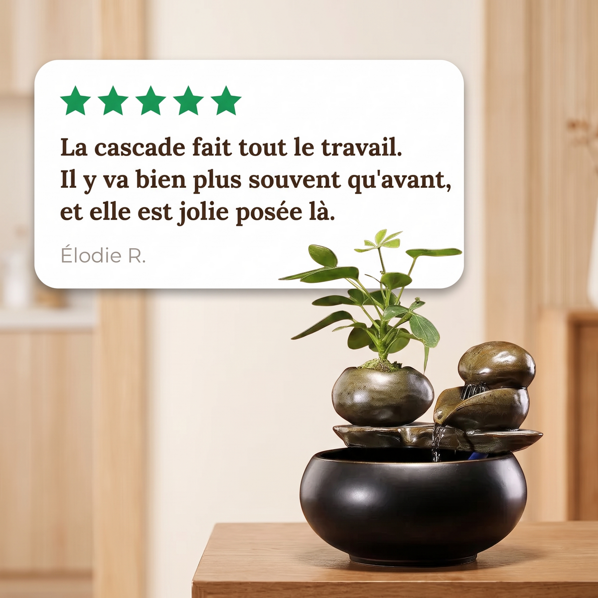 Avis client cinq étoiles sur la fontaine à eau en céramique pour chat