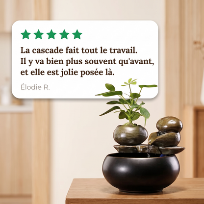 Avis client cinq étoiles sur la fontaine à eau en céramique pour chat
