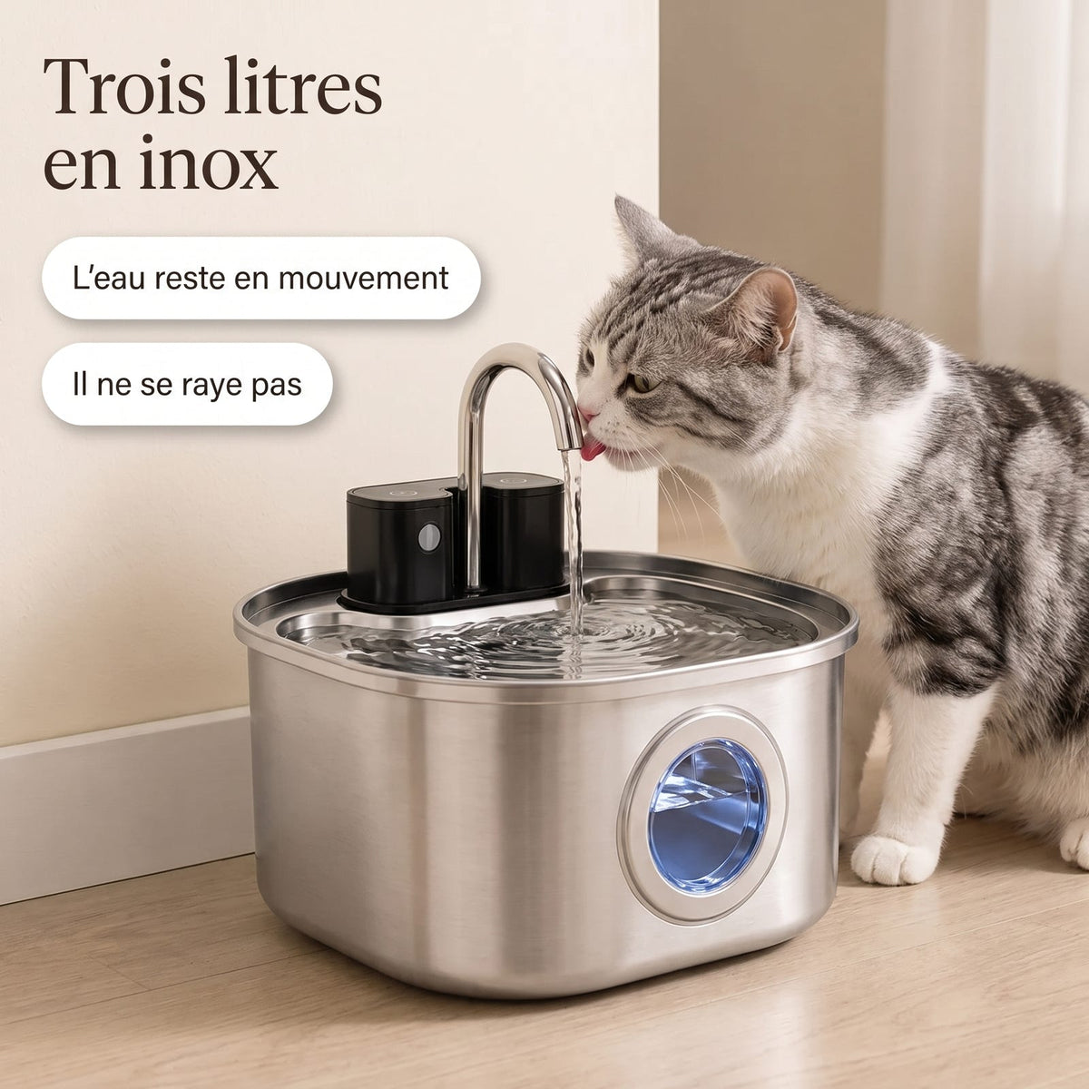 Chat gris et blanc buvant à la fontaine à eau en inox 3 L