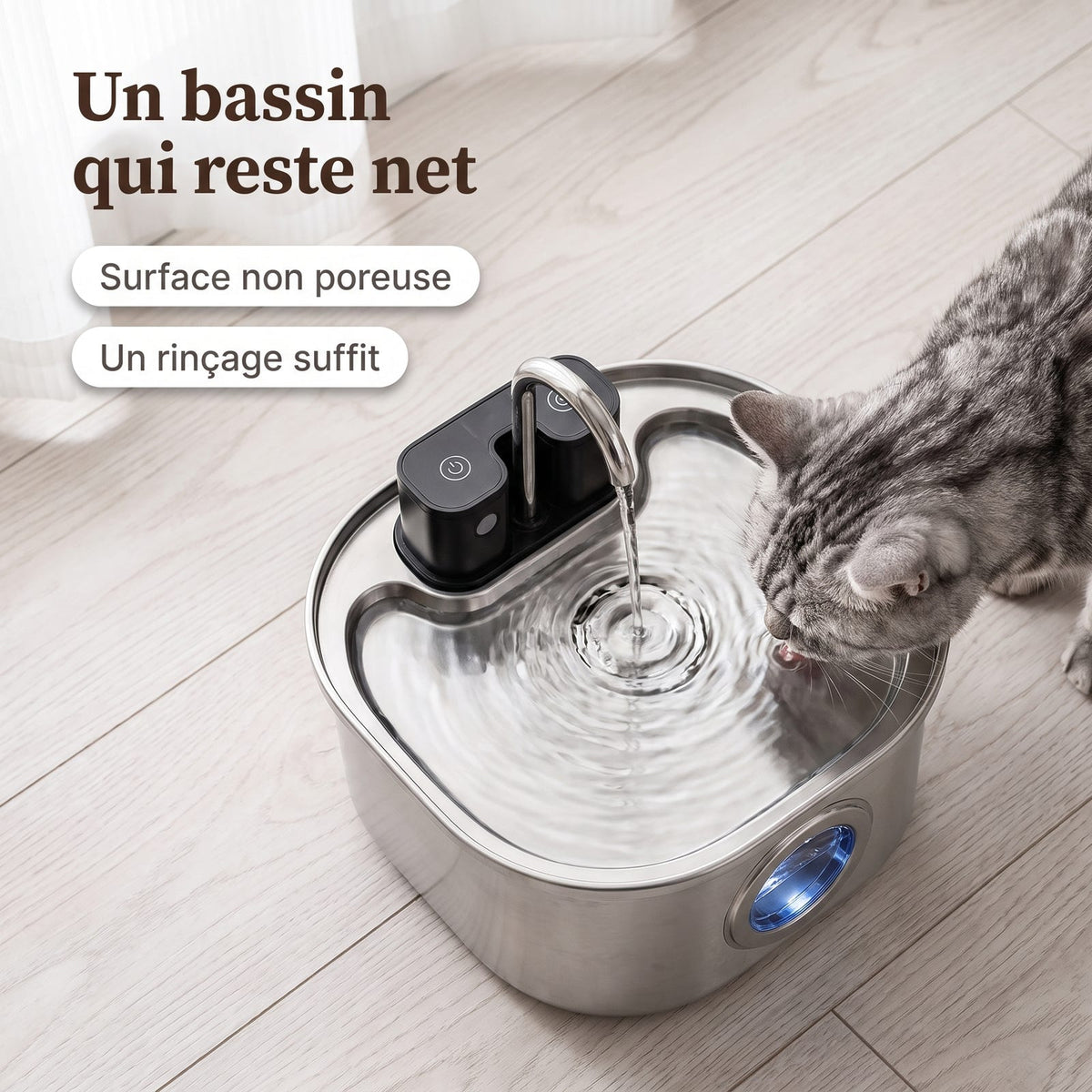 Vue en plongée du bassin en inox de la fontaine à eau pour chat