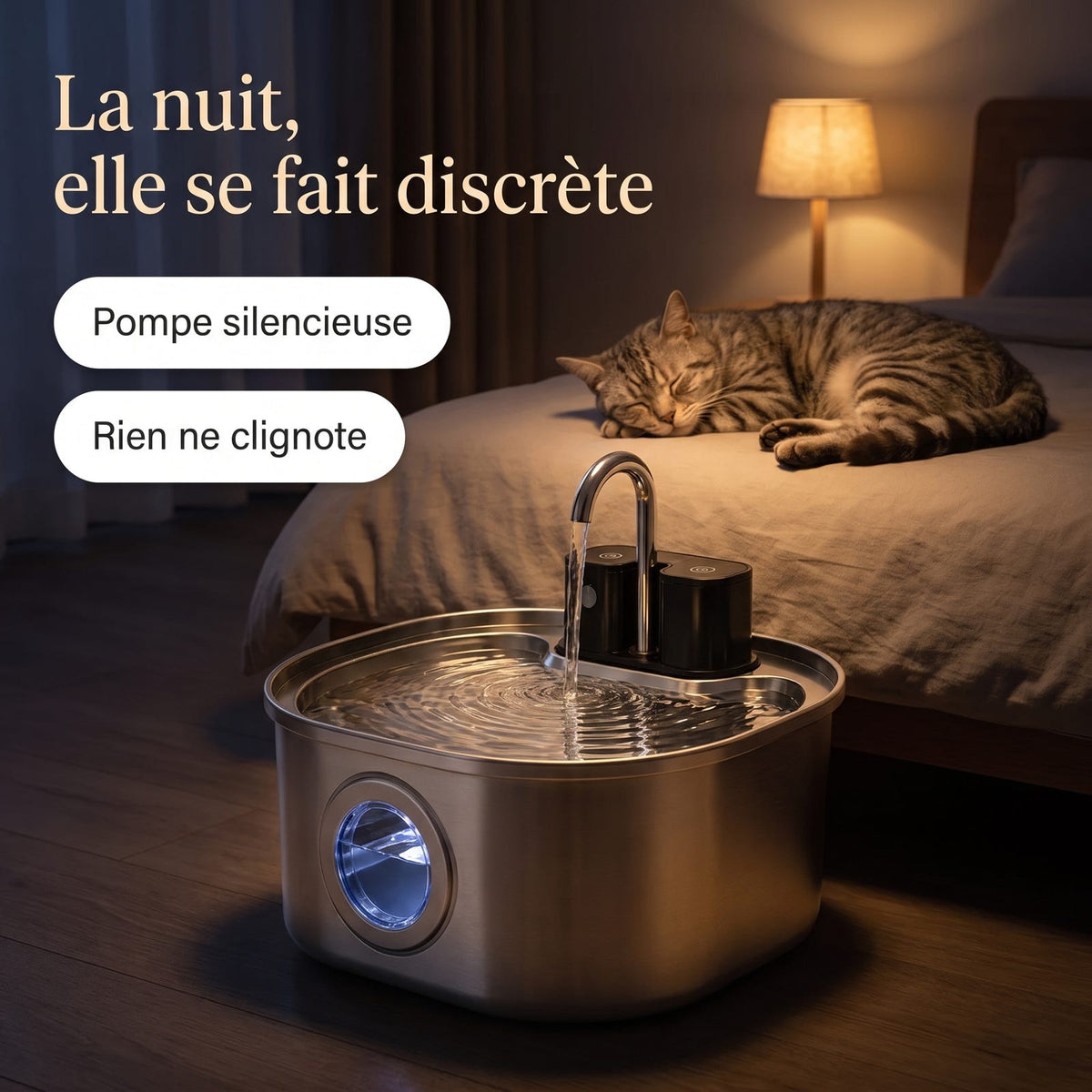 Fontaine à eau en inox dans une chambre le soir, chat endormi sur le lit