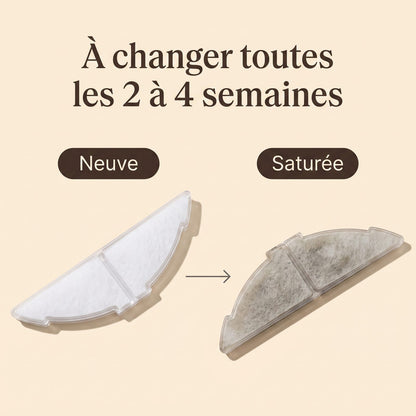 Filtre neuf et filtre saturé après plusieurs semaines d'utilisation