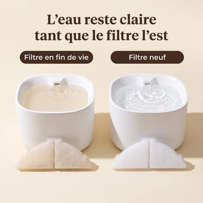 Comparaison entre une fontaine à filtre usé et une fontaine à filtre neuf