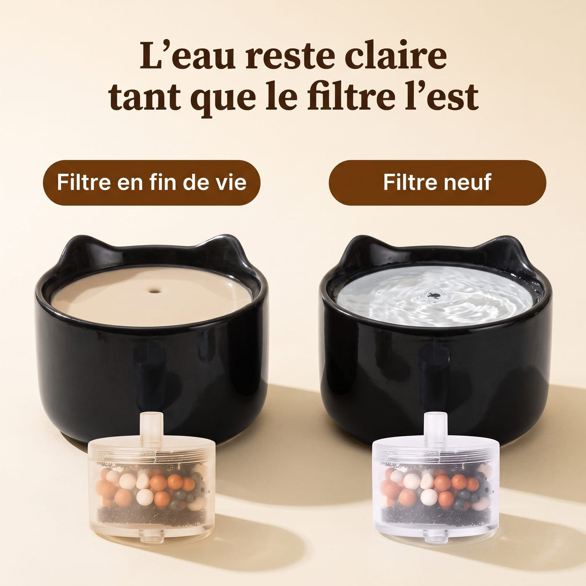 Comparaison entre une fontaine à filtre usé et une fontaine à filtre neuf