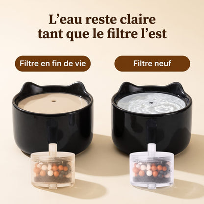 Comparaison entre une fontaine à filtre usé et une fontaine à filtre neuf