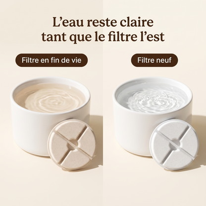 Comparaison entre une fontaine à filtre usé et une fontaine à filtre neuf