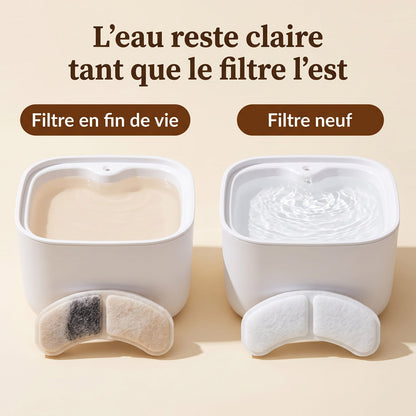 Comparaison entre une fontaine à filtre usé et une fontaine à filtre neuf