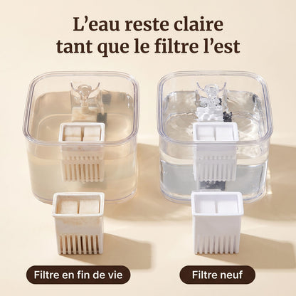 Comparaison entre une fontaine à filtre usé et une fontaine à filtre neuf
