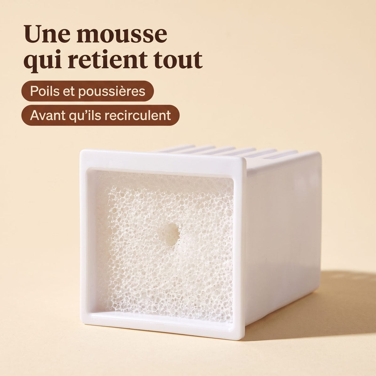 Gros plan sur la mousse filtrante et sa structure poreuse