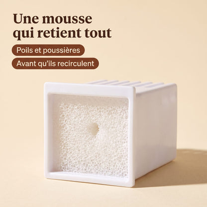 Gros plan sur la mousse filtrante et sa structure poreuse